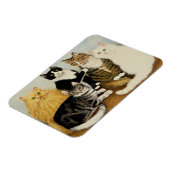Kattenbakken Magneet (Linkerzijde)