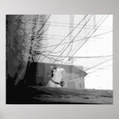 Kattenbakken Poster (Voorkant)