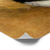 Kattenbakken Poster (Hoek)