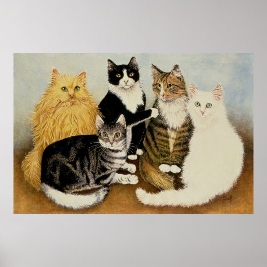 Kattenbakken Poster (Voorkant)