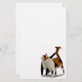 kattenbakkerij briefpapier (Voorkant / Achterkant)