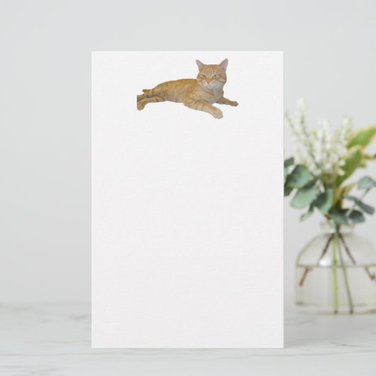 Kattenbakkerij Briefpapier (Staand voorkant)