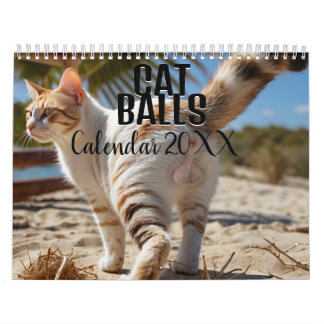 Kattenballen 2026 Grappige Kalender