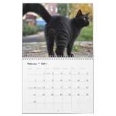 Kattenballen 2026 Grappige Kalender (Feb 2027)