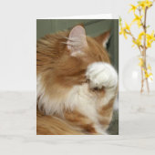 Kattenbekleding ogen kaart (Gele Bloem)