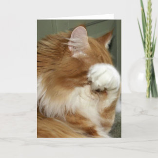 Kattenbekleding ogen kaart