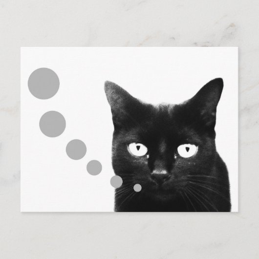Kattenbericht Briefkaart (Voorkant)