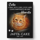 Kattenbezitter | Pootafdrukken in Onze Harten Huis