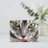 Kattenblik Briefkaart (Staand voorkant)