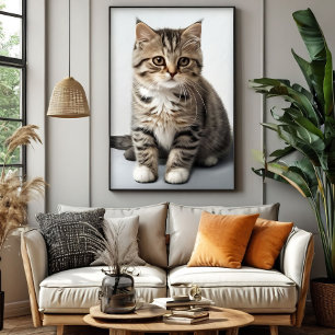 Kattenblik verloren in de tijd poster
