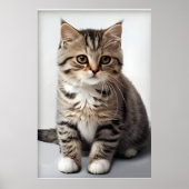 Kattenblik Verloren in Tijd Poster (Voorkant)