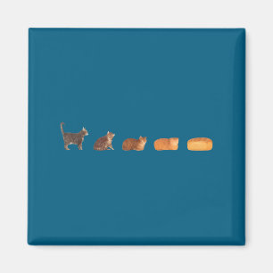 Kattenbrood brood evolutie grappige kat moeder cut magneet