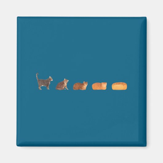 Kattenbrood brood evolutie grappige kat moeder cut magneet (Voorkant)
