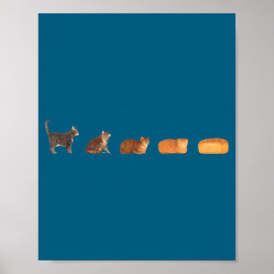 Kattenbrood brood evolutie grappige kat moeder cut poster