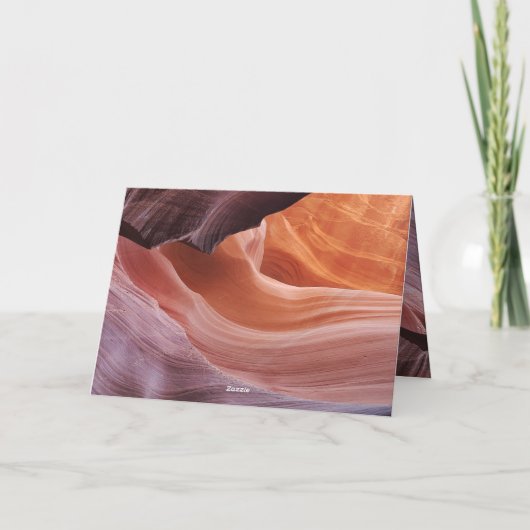 kattencondoleance kaart (Achterkant)