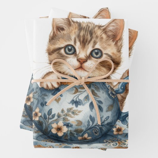 Kattendetail cadeaupapier (In situ)