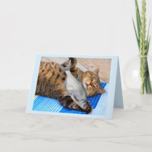 Kattendromen van visdag kaart