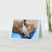 Kattendromen van visdag kaart (Voorkant)