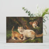 Kattenfamilie spelen | Julius Adam de Jongere (Staand voorkant)