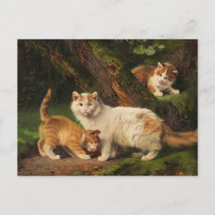 Kattenfamilie spelen   Julius Adam de Jongere Briefkaart