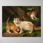 Kattenfamilie spelen | Julius Adam de Jongere Poster (Voorkant)