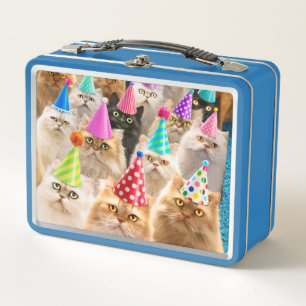 Kattenfeest