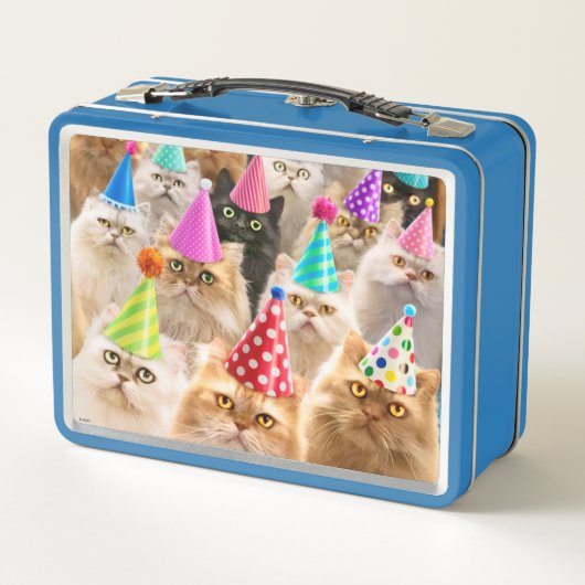 Kattenfeest (Achterkant)