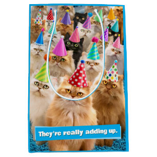 Kattenfeest Medium Cadeauzakje