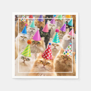 Kattenfeest Servet