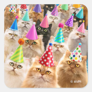 Kattenfeest Vierkante Sticker