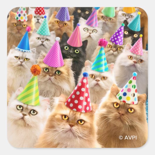 Kattenfeest Vierkante Sticker (Voorkant)