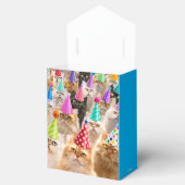 Kattenfeestje Bedankdoosjes (Geopend)