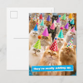 Kattenfeestje Briefkaart (Voorkant / Achterkant)