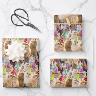 Kattenfeestje Inpakpapier Vel