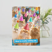 Kattenfeestje Kaart (Staand voorkant)