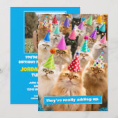 Kattenfeestje Kaart (Voorkant / Achterkant)