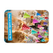 Kattenfeestje Magneet (Horizontaal)