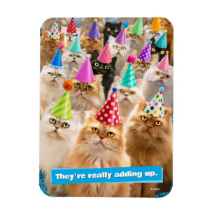 Kattenfeestje Magneet
