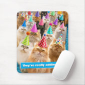 Kattenfeestje Muismat (Met muis)