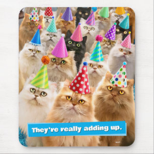 Kattenfeestje Muismat