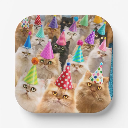 Kattenfeestje Papieren Bordje (Voorkant)
