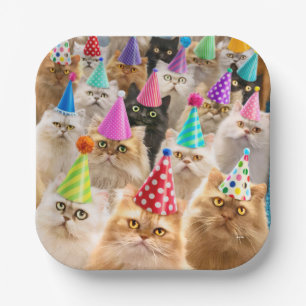 Kattenfeestje Papieren Bordje