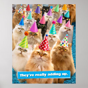 Kattenfeestje Poster