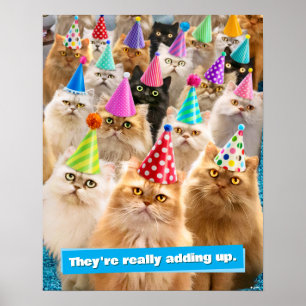 Kattenfeestje Poster