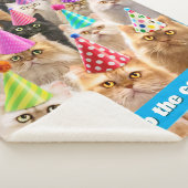 Kattenfeestje Sherpa Deken (3/4)