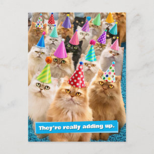 Kattenfeestje Uitnodiging Briefkaart