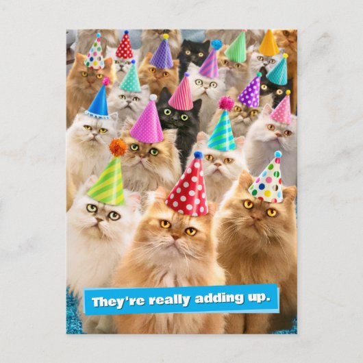 Kattenfeestje Uitnodiging Briefkaart (Voorkant)