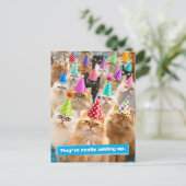 Kattenfeestje Uitnodiging Briefkaart (Staand voorkant)