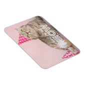 Kattenfoto | Je had me bij Meow Magneet (Rechterzijde)