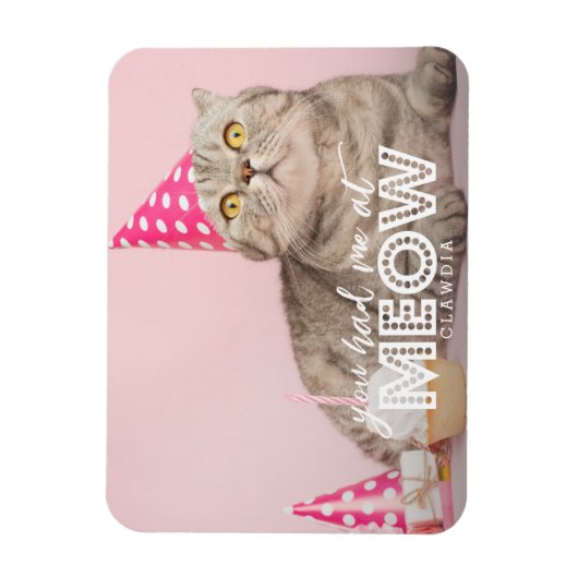 Kattenfoto | Je had me bij Meow Magneet (Verticaal)